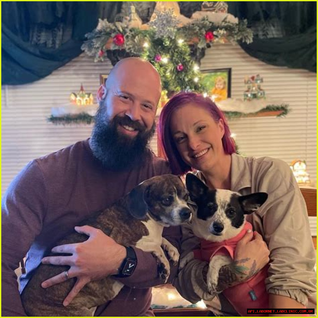 Unveiling The Reasons Behind Lisa Marie Joyce's Bar Rescue Departure